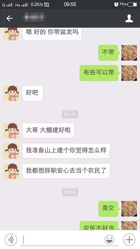 大棚多肉植物怎么養殖技術_大棚多肉種植技術_察縣多肉大棚