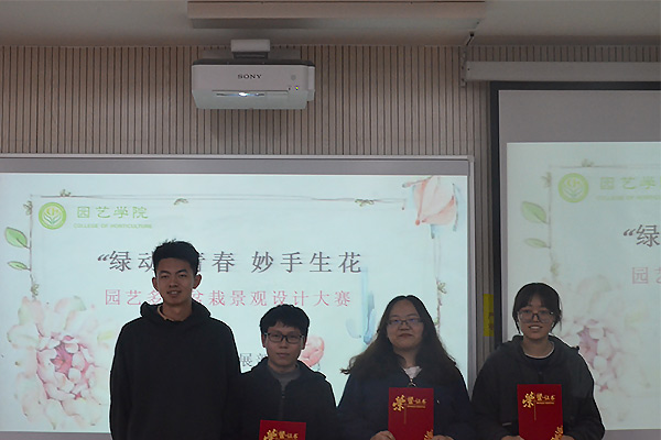多肉景觀怎么設計_多肉景觀設計_多肉植物景觀