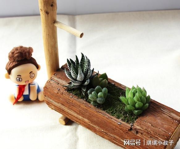 花盆多肉好用么_花盆多肉好用不_多肉用什么花盆好