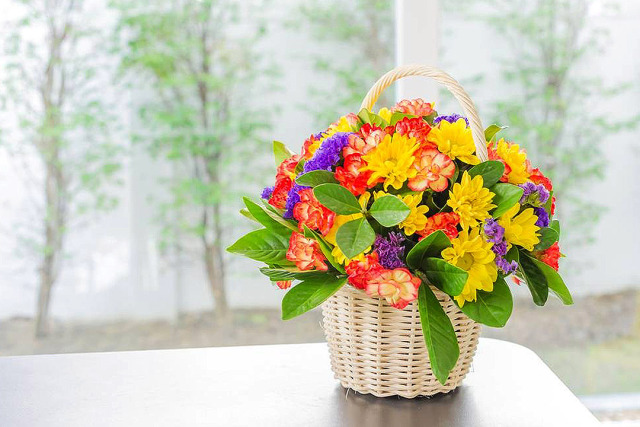 鮮花店鮮花綠植多肉_鮮花多肉綠植店賺錢嗎_多肉植物花店