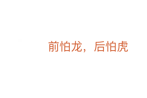 前怕龍，后怕虎