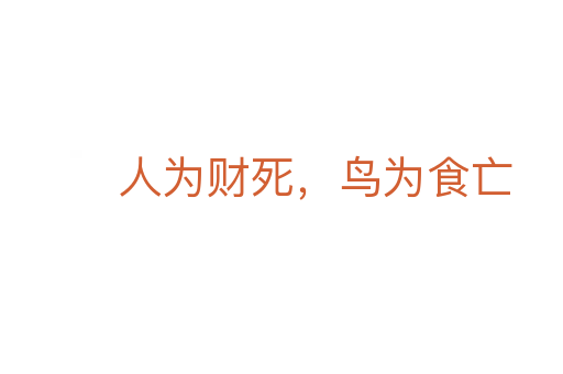 人為財死,鳥為食亡