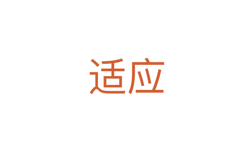 適應