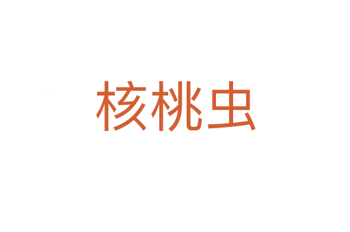 核桃蟲(chóng)