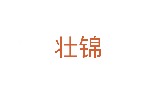 壯錦