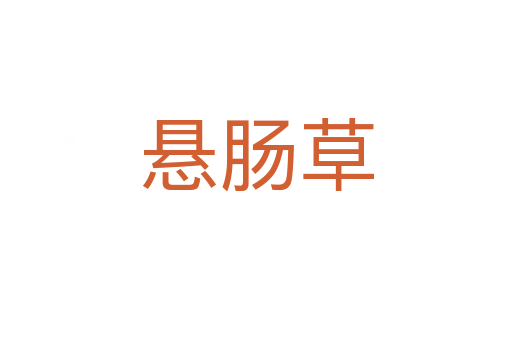 懸腸草