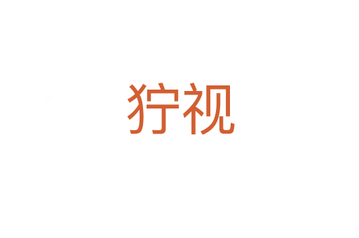 獰視