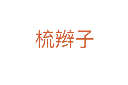 梳辮子