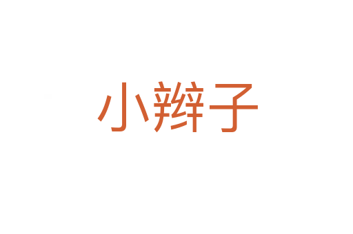 小辮子