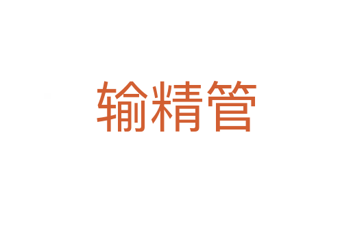 輸精管