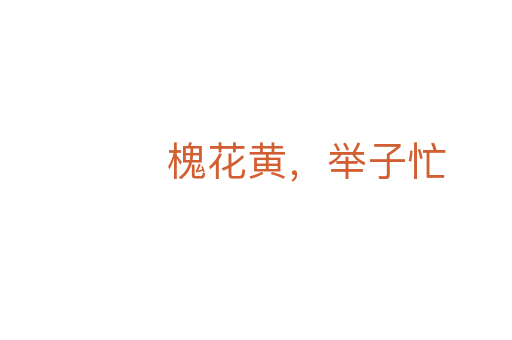 槐花黃,舉子忙