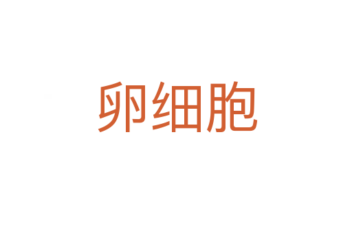 卵細胞