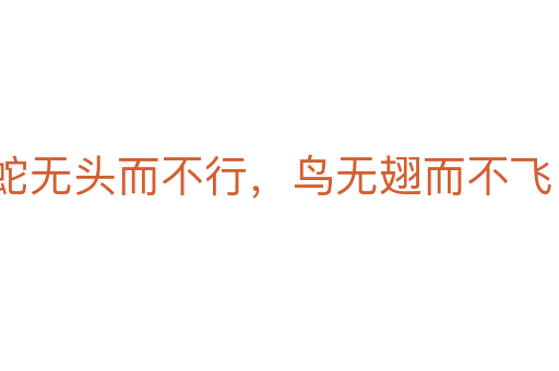 蛇無頭而不行，鳥無翅而不飛