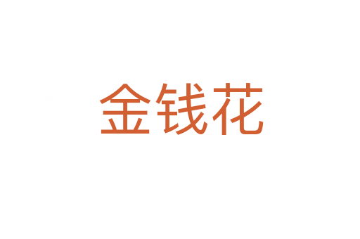 金錢(qián)花