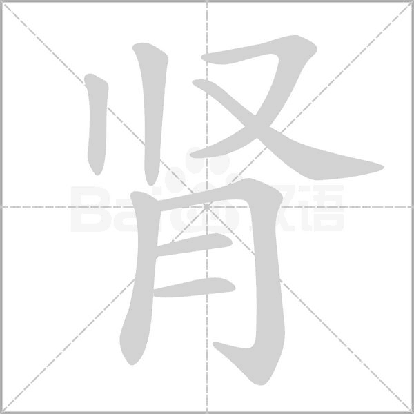 腎的筆順動(dòng)畫演示
