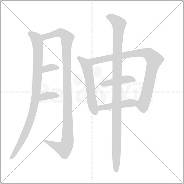 胂的筆順動(dòng)畫(huà)演示