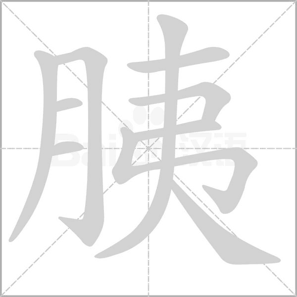 胰的筆順動(dòng)畫演示