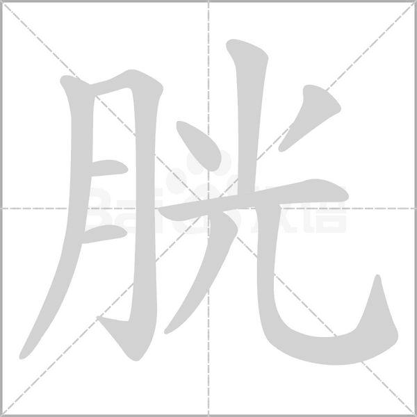 胱的筆順動(dòng)畫演示