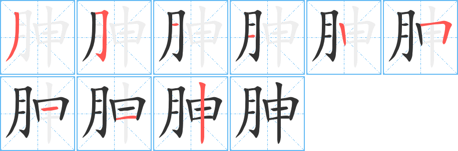 胂的筆順?lè)植窖菔?>
					
                    <hr />
                    <h2>胂的基本信息</h2>
                    <div   id=