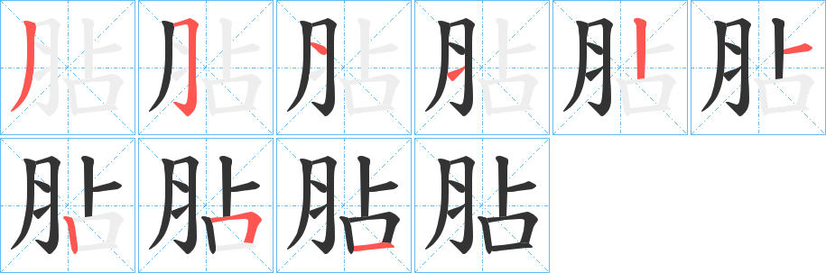 胋的筆順?lè)植窖菔?>
					
                    <hr />
                    <h2>胋的基本信息</h2>
                    <div   id=
