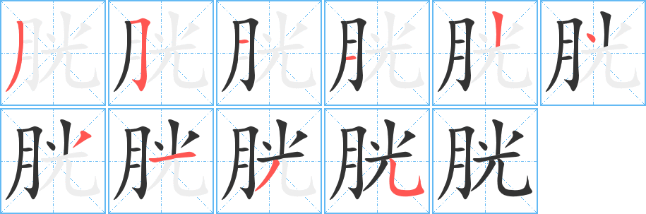 胱的筆順?lè)植窖菔?>
					
                    <hr />
                    <h2>胱的基本信息</h2>
                    <div   id=