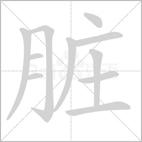 臟的筆順動(dòng)畫(huà)演示