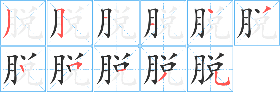 脫的筆順分步演示