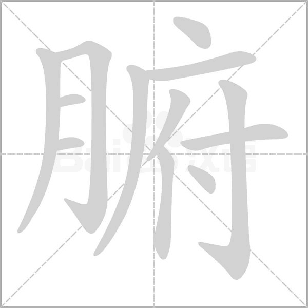 腑的筆順動(dòng)畫演示