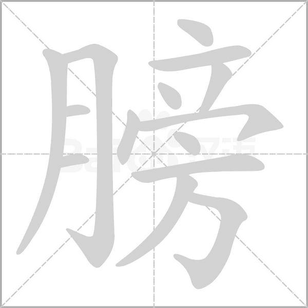 膀的筆順動(dòng)畫演示