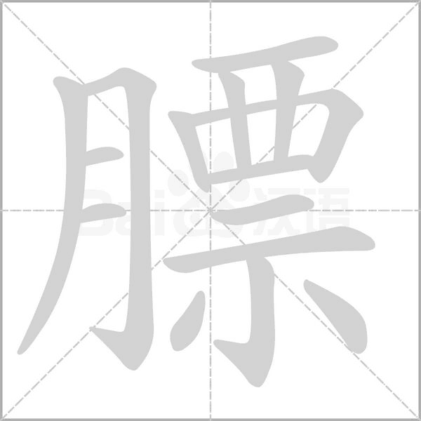 膘的筆順動(dòng)畫(huà)演示