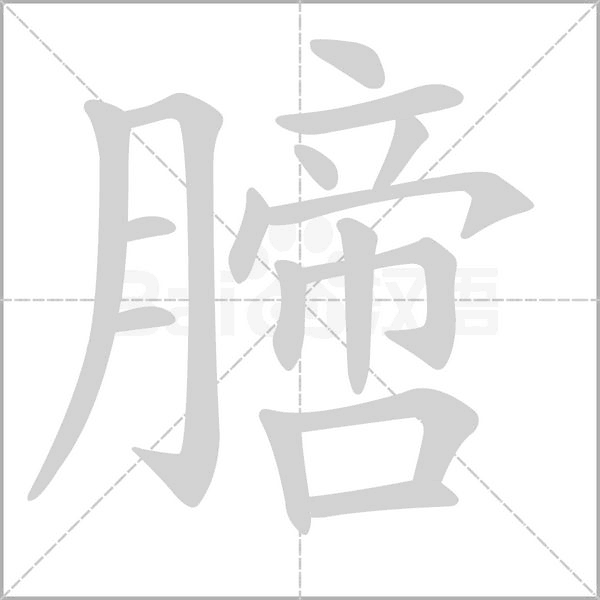 膪的筆順動(dòng)畫(huà)演示