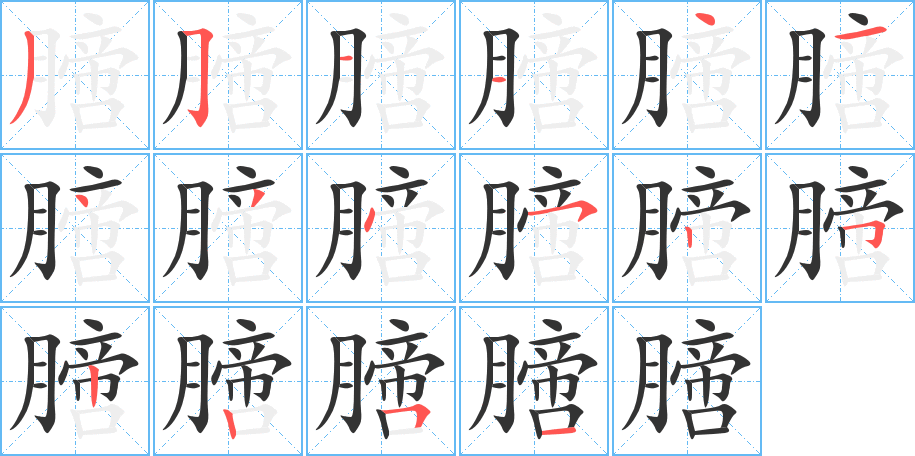 膪的筆順?lè)植窖菔?>
					
                    <hr />
                    <h2>膪的基本信息</h2>
                    <div   id=