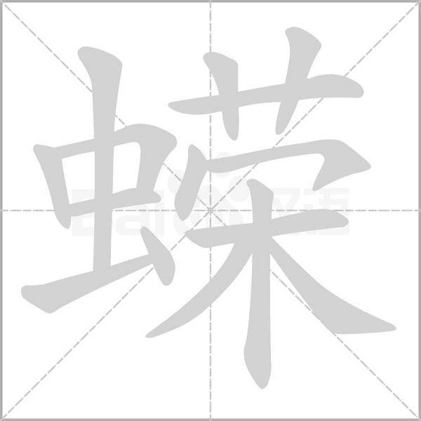 蠑?shù)墓P順動畫演示