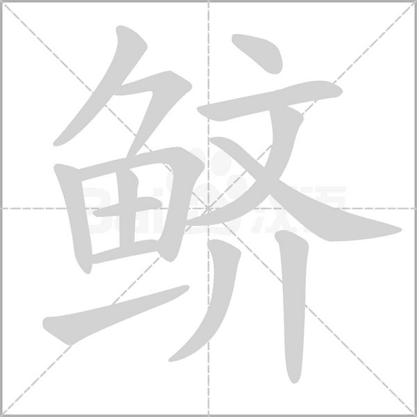 鱭的筆順動(dòng)畫(huà)演示