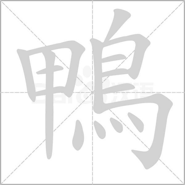 鴨的筆順動(dòng)畫演示