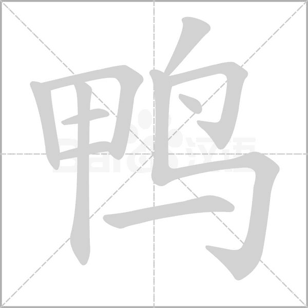 鴨的筆順動(dòng)畫演示